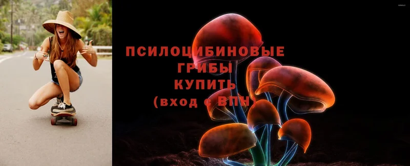 Галлюциногенные грибы Psilocybe  ссылка на мегу ссылки  Лодейное Поле  купить наркоту 